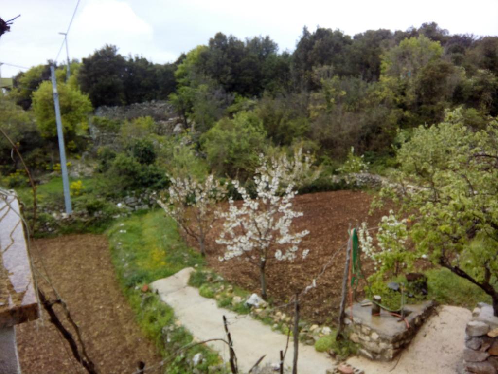Holiday Home Loznati Cres Zewnętrze zdjęcie