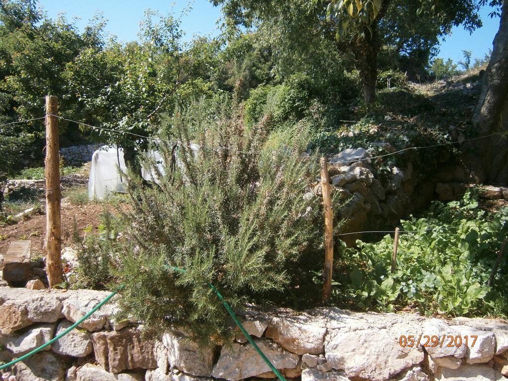 Holiday Home Loznati Cres Zewnętrze zdjęcie