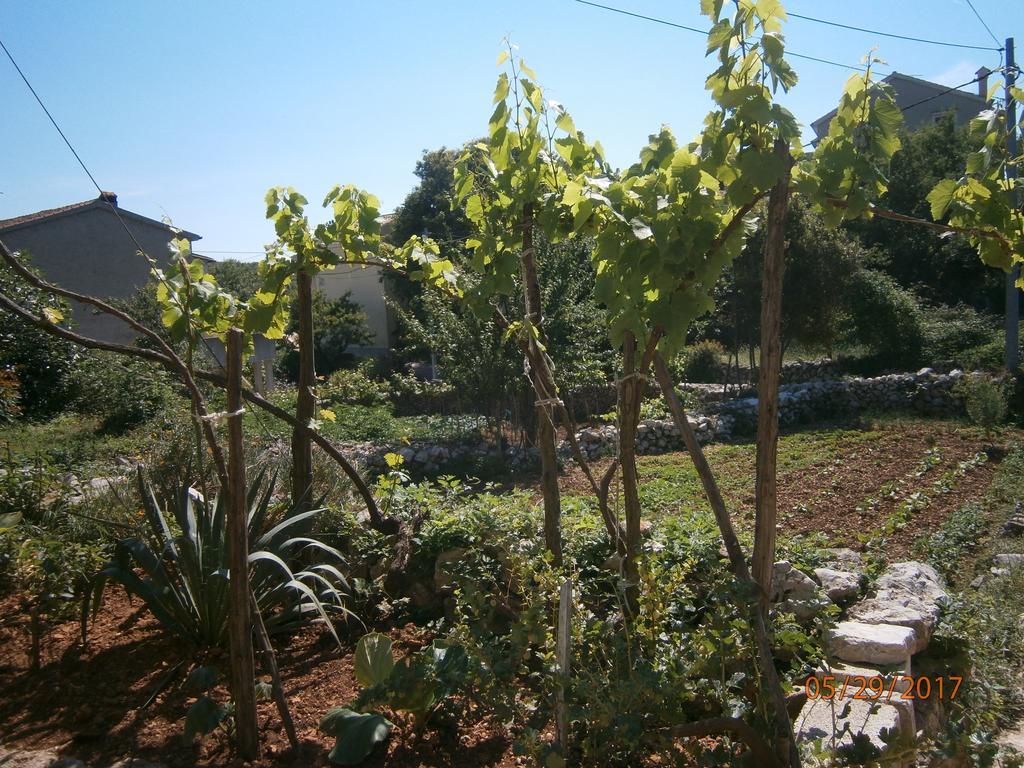 Holiday Home Loznati Cres Zewnętrze zdjęcie