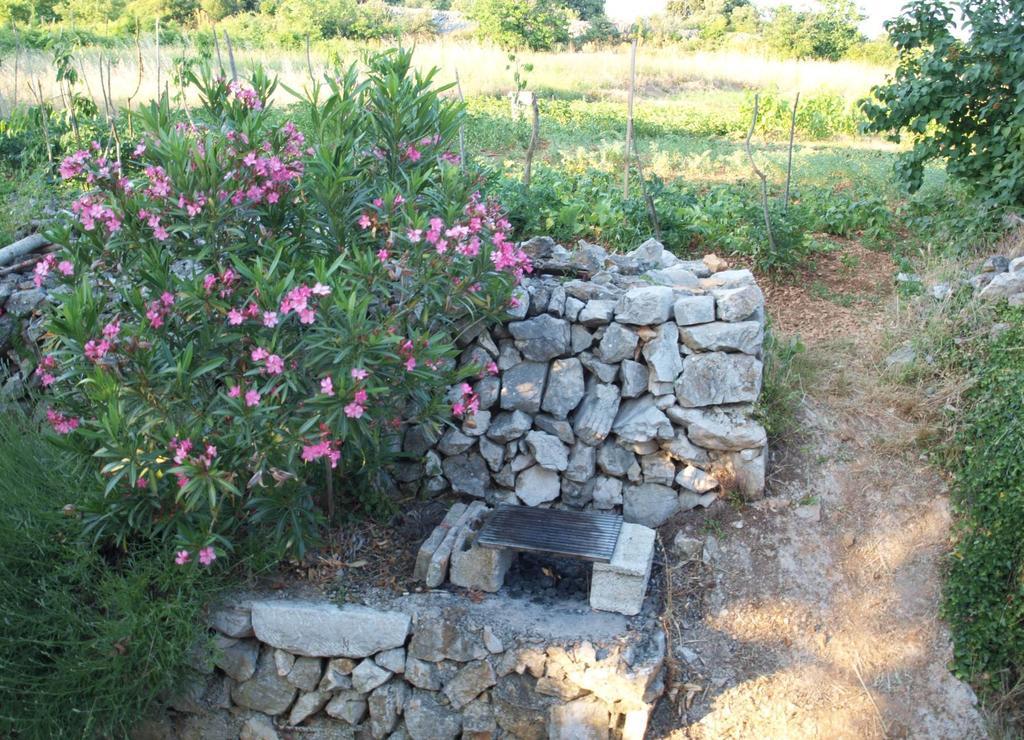 Holiday Home Loznati Cres Zewnętrze zdjęcie