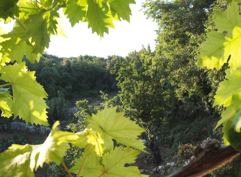 Holiday Home Loznati Cres Zewnętrze zdjęcie