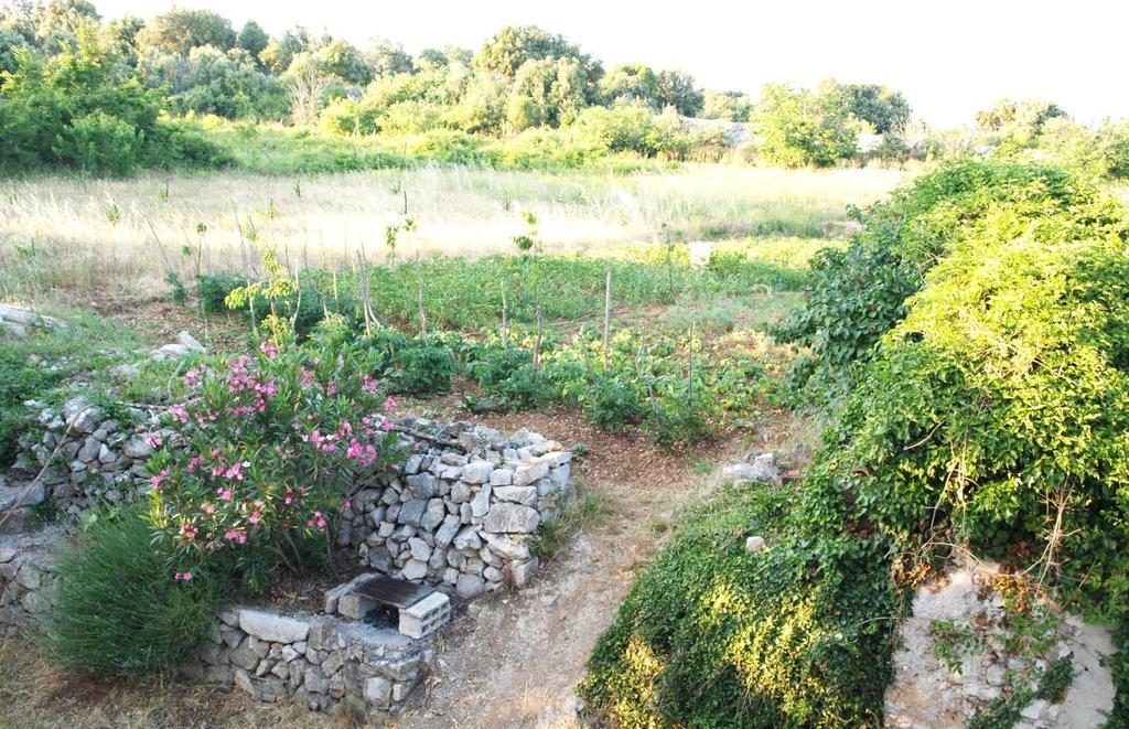 Holiday Home Loznati Cres Zewnętrze zdjęcie