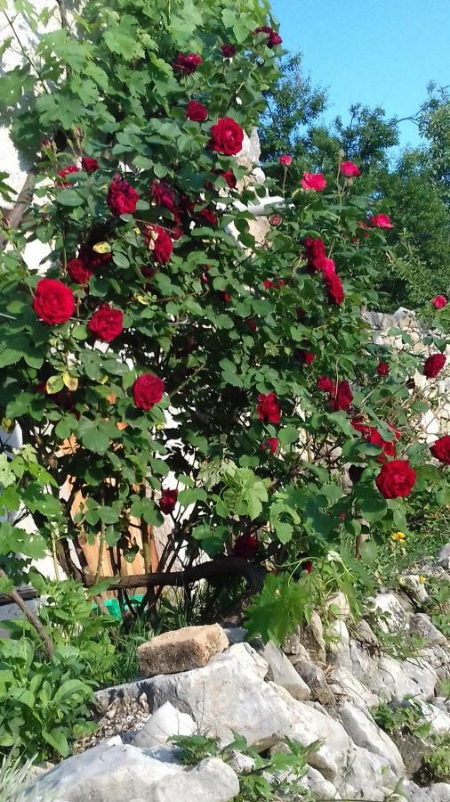 Holiday Home Loznati Cres Zewnętrze zdjęcie